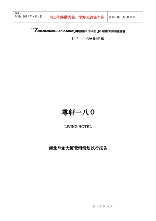 尊轩营销策划执行报告