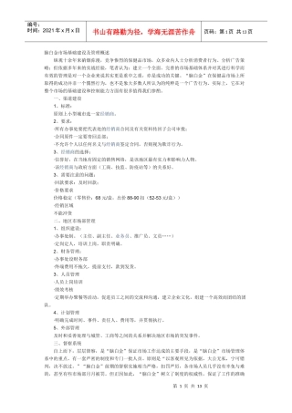 “脑白金”市场营销操作实录