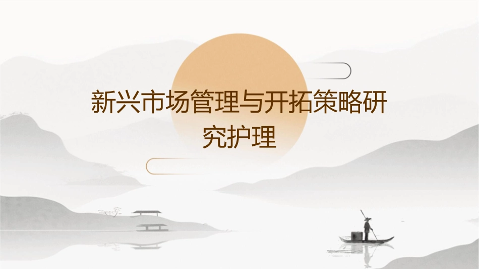 新兴市场管理与开拓策略研究护理_第1页