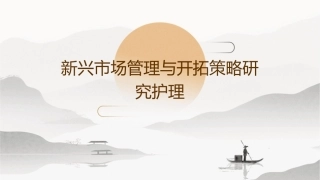 新兴市场管理与开拓策略研究护理