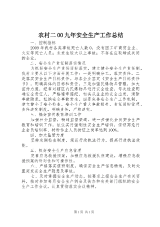 农村二00九年安全生产工作总结