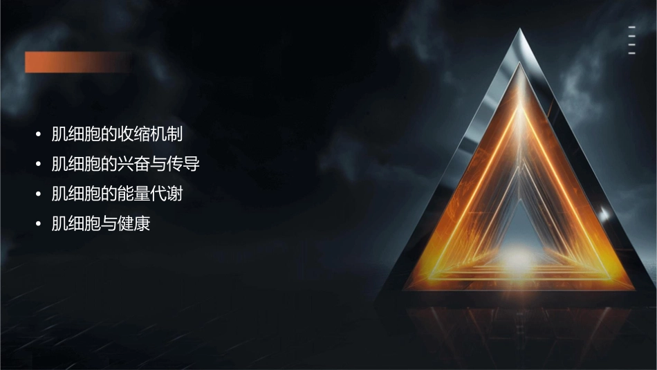 肌细胞的收缩功能教学课件_第2页