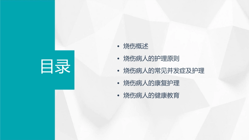 烧伤病人业务查房护理课件_第2页