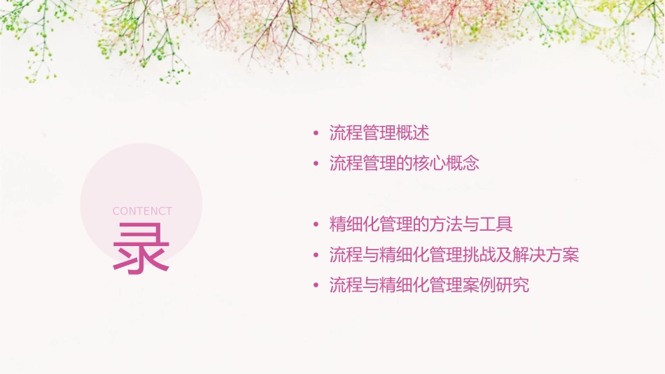 流程与精细化管理课件_第2页