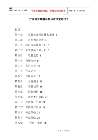 广西南宁麒麟山整体营销策略分析报告