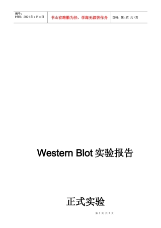 WB技术服务报告模板
