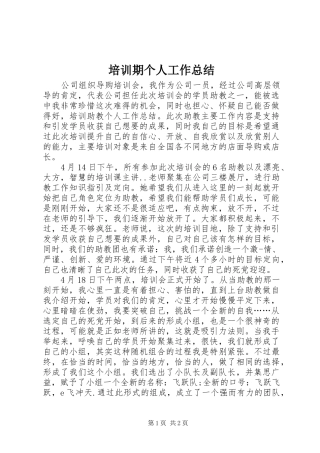 培训期个人工作总结