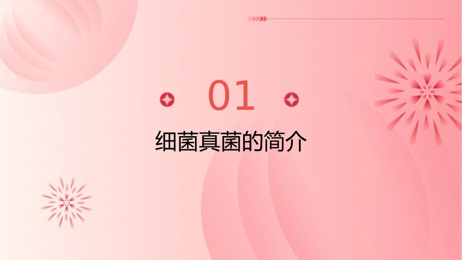 细菌真菌在自然界中的作用课件_第3页
