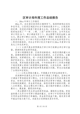 区审计局年度工作总结报告