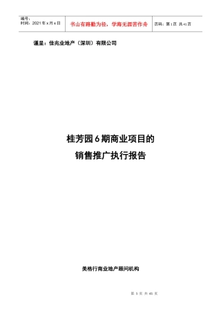 XX园6期商业项目销售推广执行报告
