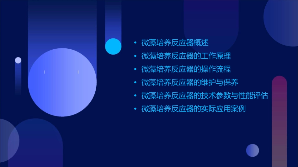 微藻培养反应器课件_第2页