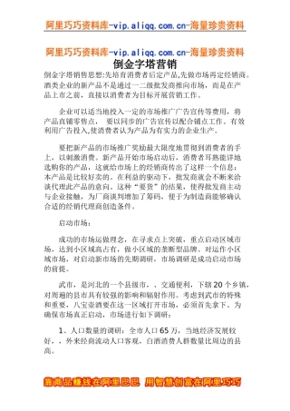 倒金字塔营销(doc6)