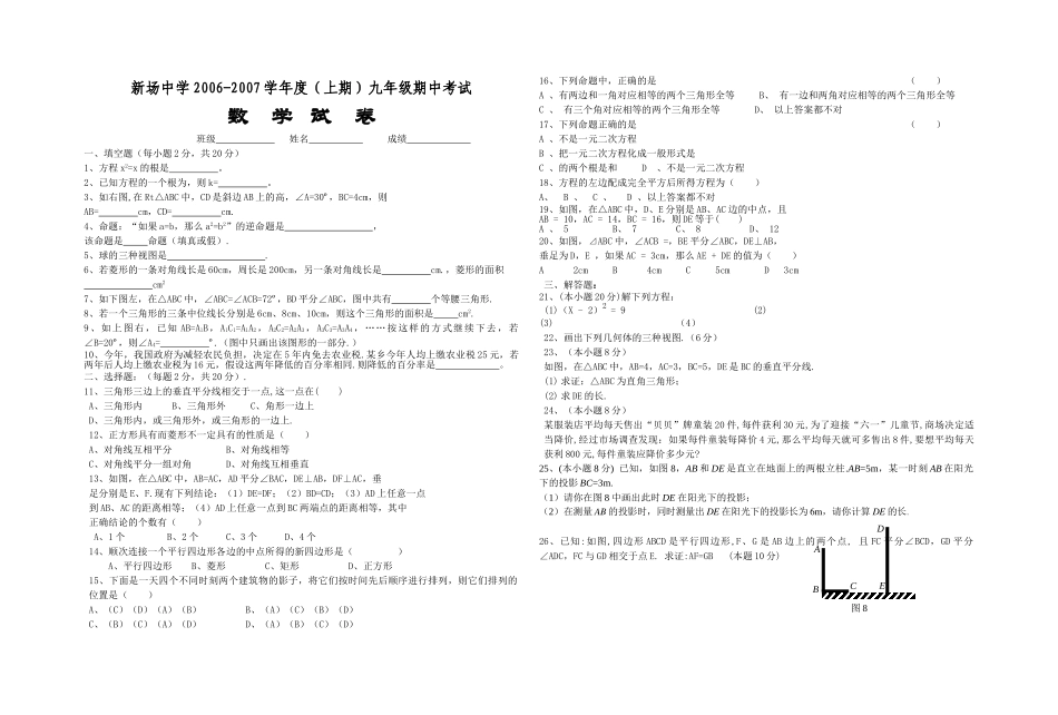 新场20062007学上期九年级期中考试新课标人教版 _第1页