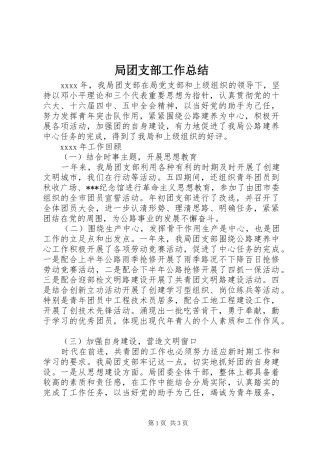 局团支部工作总结