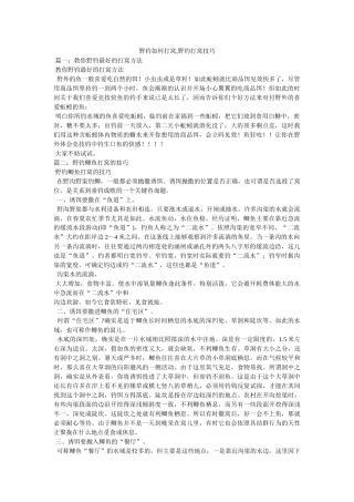 野钓如何打窝,野钓打窝技巧 