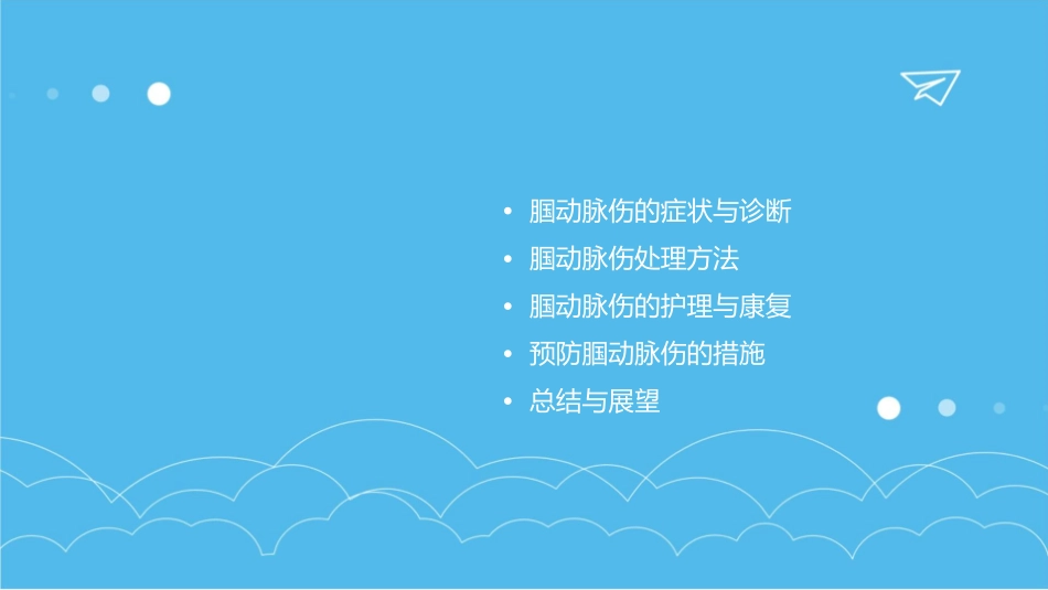 腘动脉伤处理护理课件_第2页