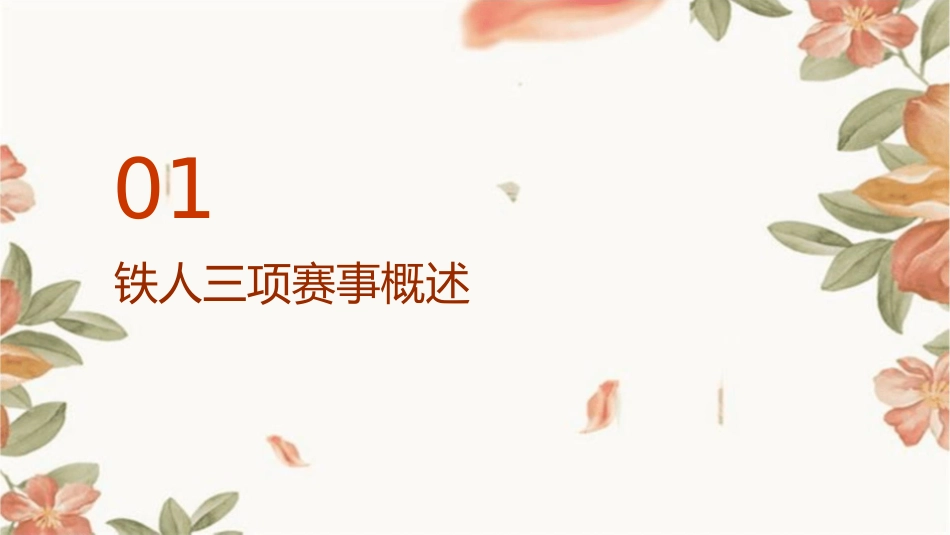 铁人三项协助接待方案课件_第3页