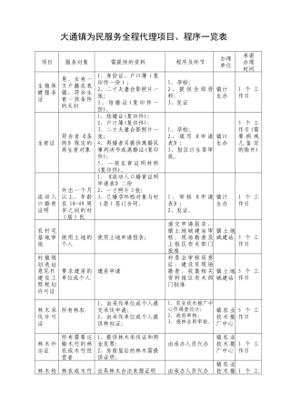 大通镇为民服务全程代理项目