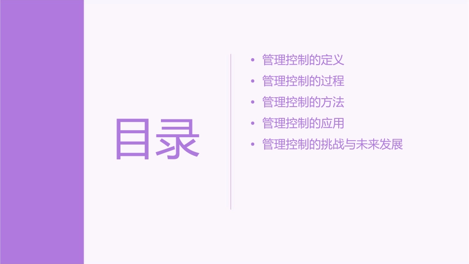 管理控制的定义及过程课件_第2页