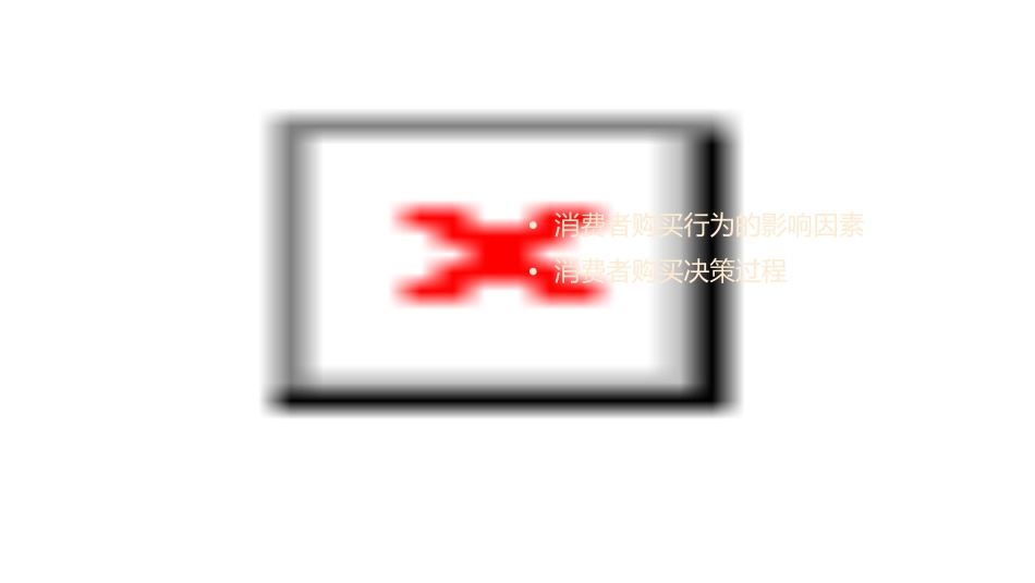 消费者购买行为介绍课件_第2页