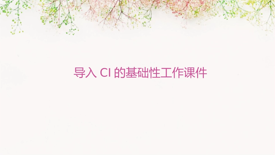 导入CI的基础性工作课件_第1页