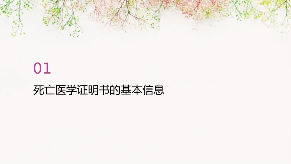 死亡医学证明书撰写规则护理课件_第3页