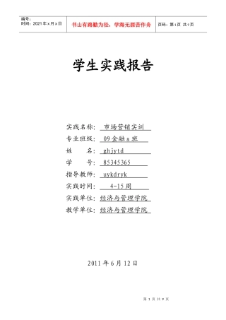 市场营销实践报告