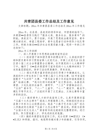 共青团县委工作总结及工作意见