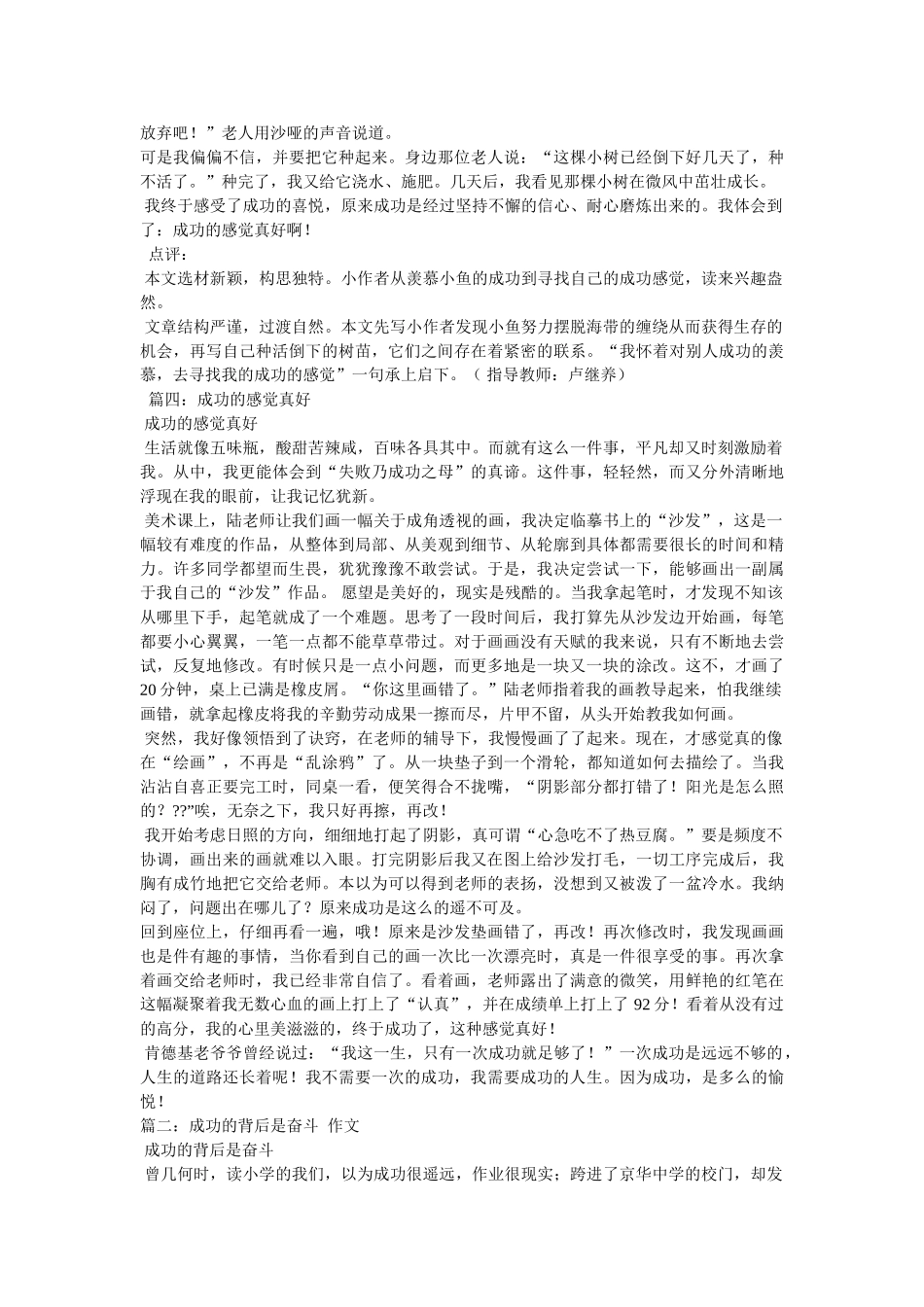 我了解了成功的背后作文500字 _第3页