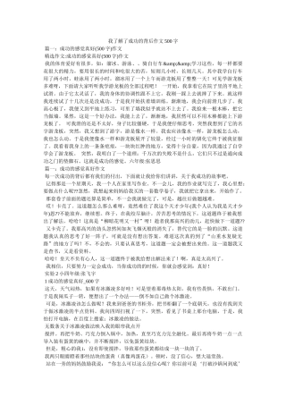 我了解了成功的背后作文500字 