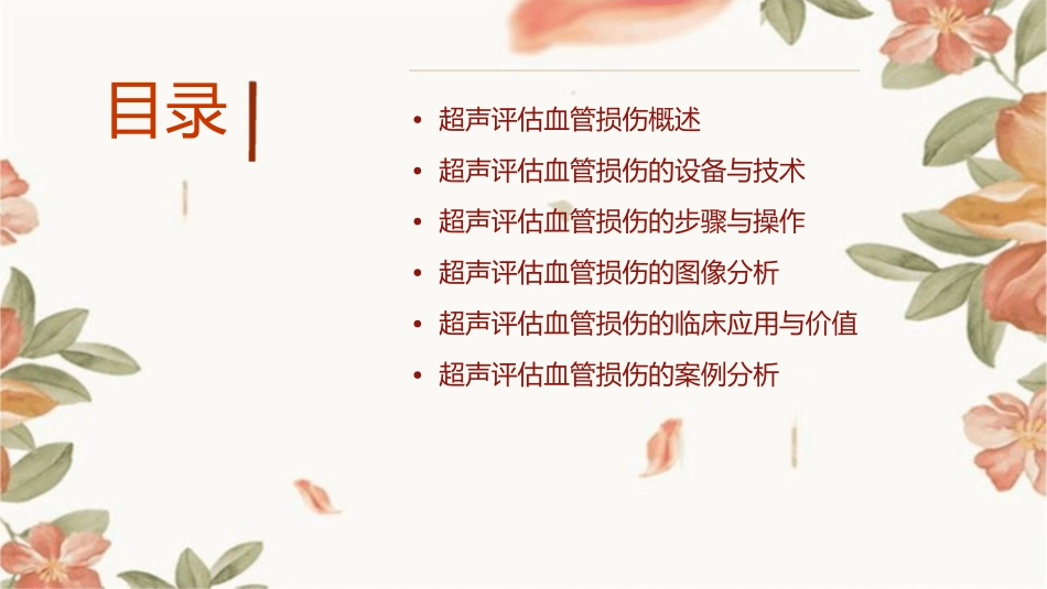 超声评估血管损伤课件_第2页