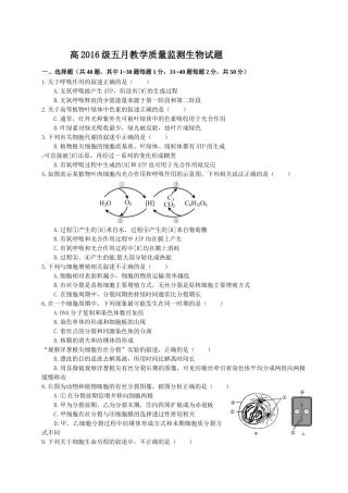 四川省树德高一5月月考生物试题及答案 