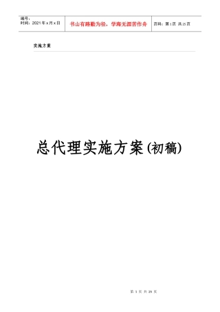 总代理实施方案初稿
