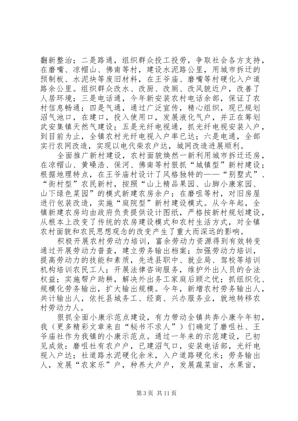 年度工作总结（镇政府）_第3页