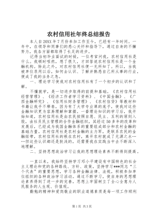 农村信用社年终总结报告