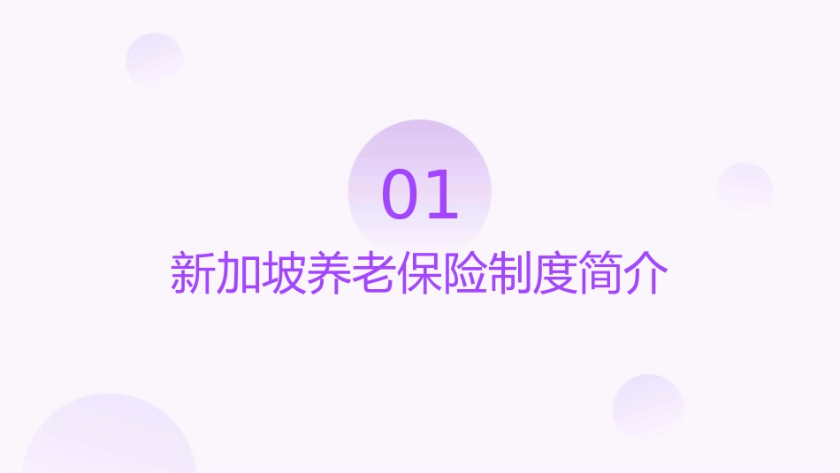 新加坡养老保险课件_第3页