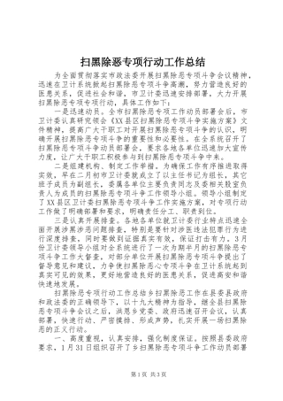 扫黑除恶专项行动工作总结