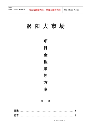 大市场全程营销策划方案