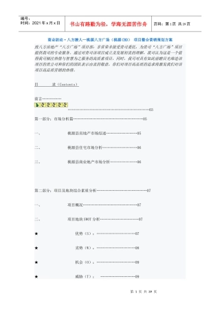 商业欲动 八方撩人 桃源八方广场(桃源CBD) 项目整合营销策划方案
