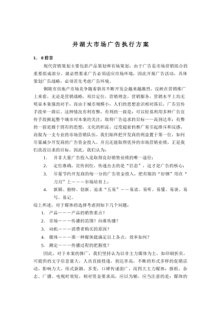 井湖大市场广告执行方案doc5