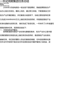 一年试用期个人工作总结 