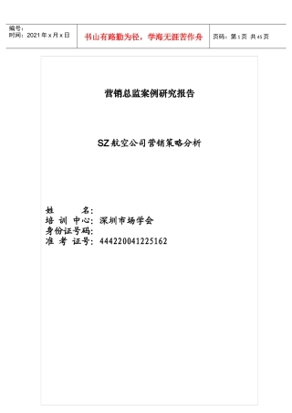 SZ航空公司营销策略分析