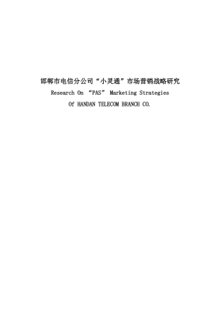 “小灵通”市场营销战略研究报告