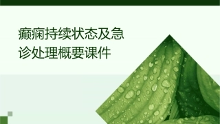 癫痫持续状态及急诊处理概要课件