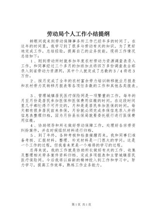 劳动局个人工作小结提纲