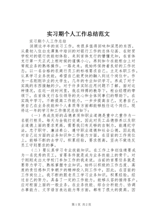 实习期个人工作总结范文