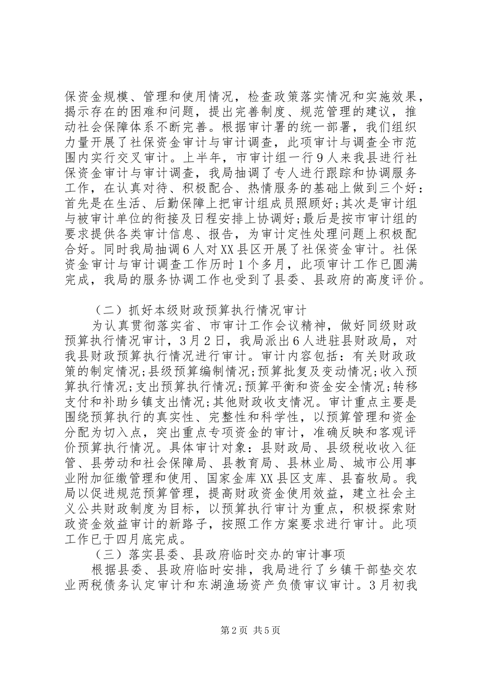审计局上半年度工作总结_第2页