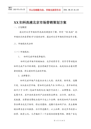 XX妇科洗液北京市场营销策划方案doc17