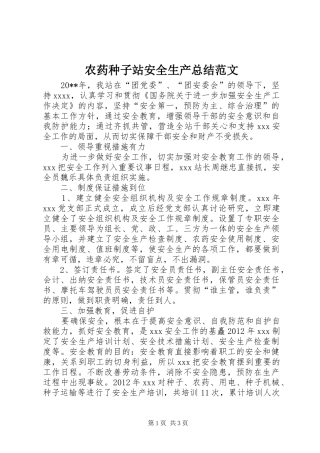 农药种子站安全生产总结范文