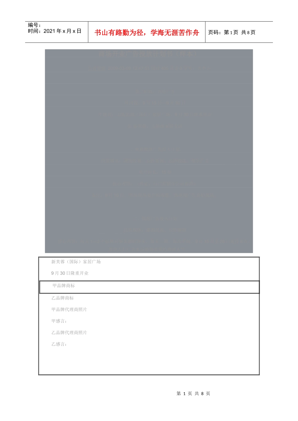 商场开业广告投放计划书_第1页